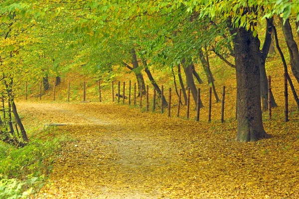 Chodník v podzimním parku — Stock fotografie