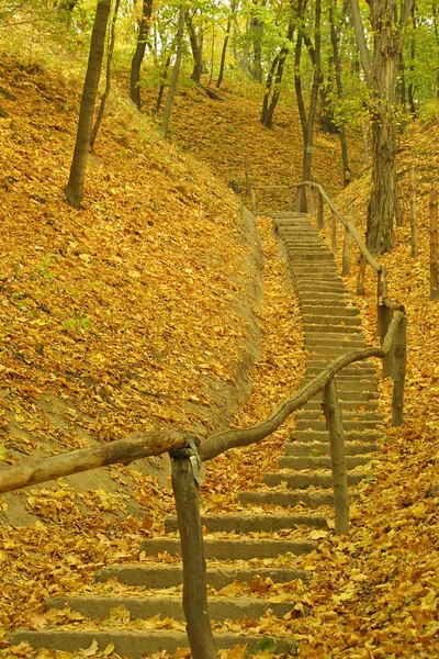 Осень в парке — стоковое фото