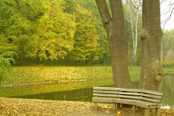 가을 공원에 있는 벤치 — 스톡 사진