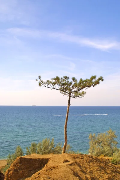 Peisaj marin de vară — Fotografie, imagine de stoc