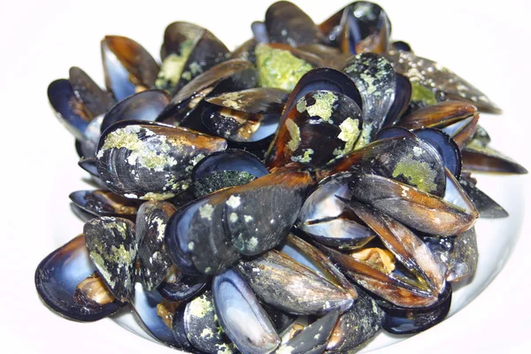Close-up opened boiled mussels — Stock Photo, Image