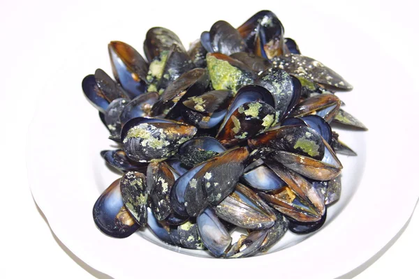 Stock image Opened boiled mussels on a plate