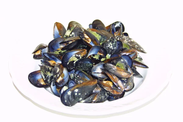 Opened boiled mussels on a plate — Stock Photo, Image