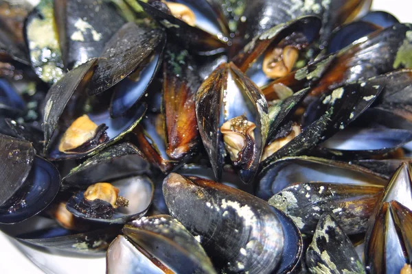 stock image Opened boiled mussels