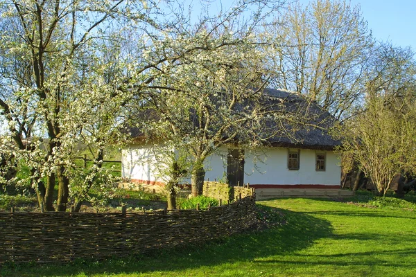 典型的茅草的屋顶的房子 — 图库照片