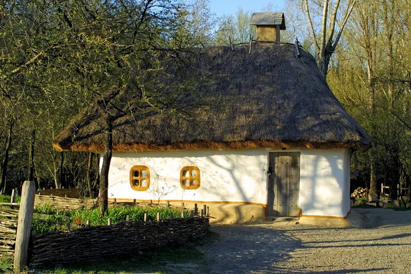 Casa de telhado de palha típica — Fotografia de Stock