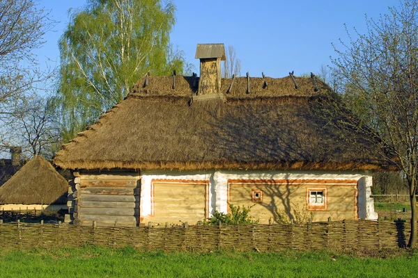 Casa de telhado de palha típica — Fotografia de Stock