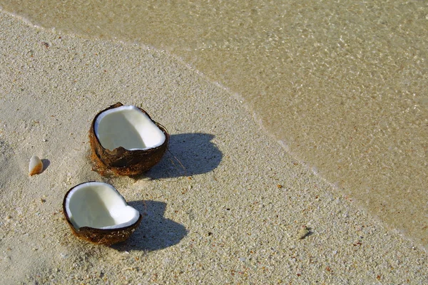 Coco aberto em uma praia de areia — Fotografia de Stock
