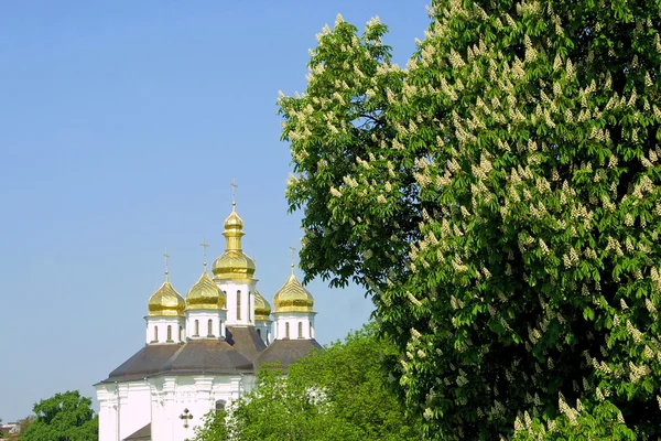 Екатерининская церковь в Чернигове — стоковое фото