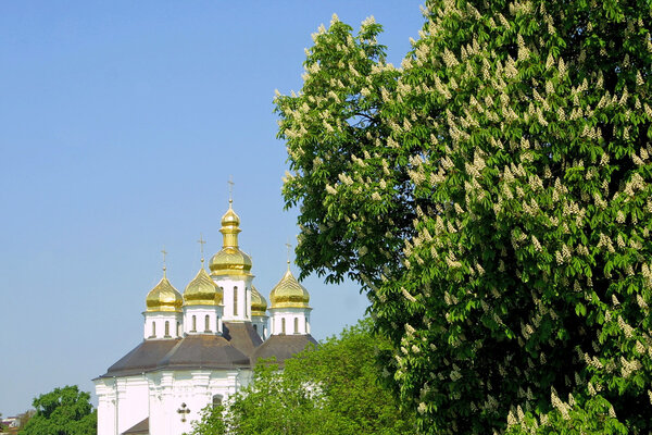 Ekateriniska church in Chernigov