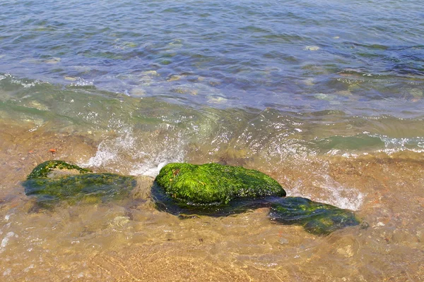 水の中の石は — ストック写真