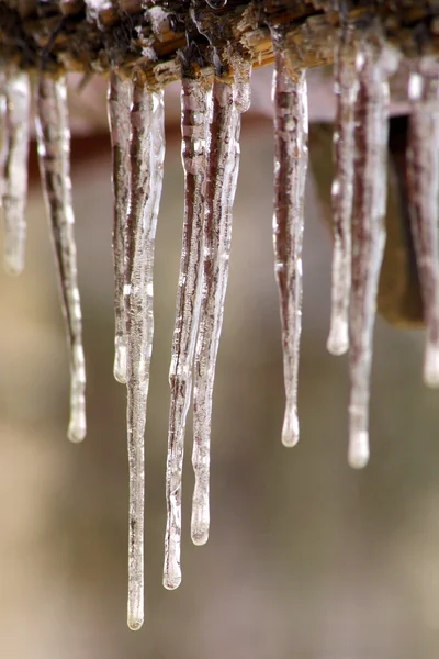 Stock image Long icicles on the wooden roof