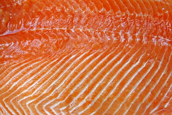 Close-up fresh salmon fillet — Stock Photo, Image
