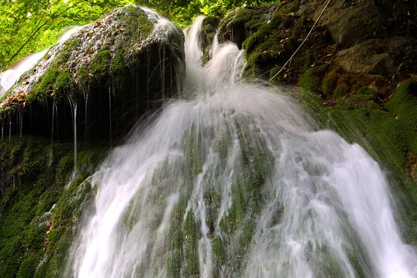 フォレスト内の滝 — ストック写真