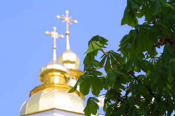 Folhas de castanha e cúpulas da igreja — Fotografia de Stock