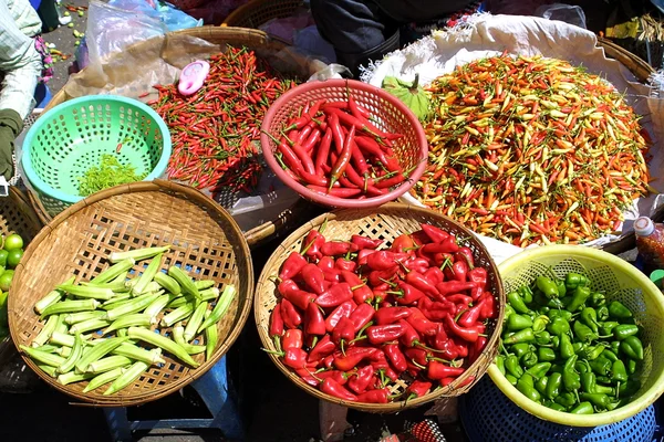 Espécies diferentes de pimenta — Fotografia de Stock