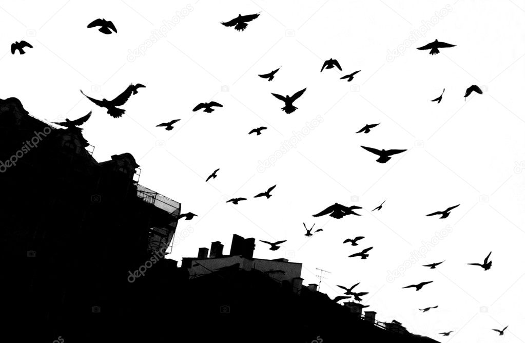 HITCHCOCK