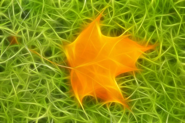 Fractal with fallen yellow maple leaf — Stock Photo, Image