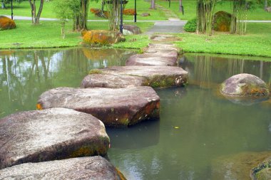 Stoneway and small lake in the garden clipart