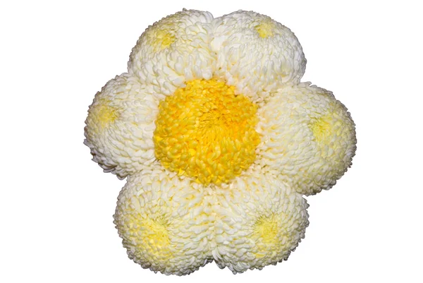 Šestiúhelník z květů — Stock fotografie