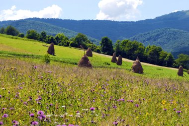 Hay and mountains clipart