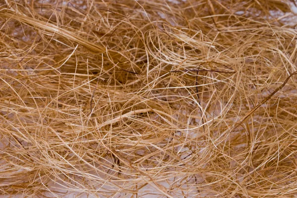 Hay on background — Stock Photo, Image