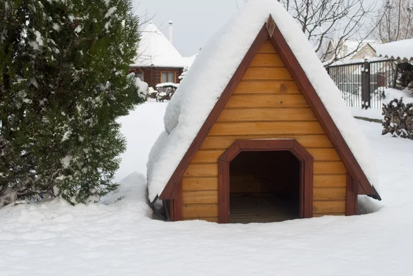Doghouse under the snow — Stock Photo, Image