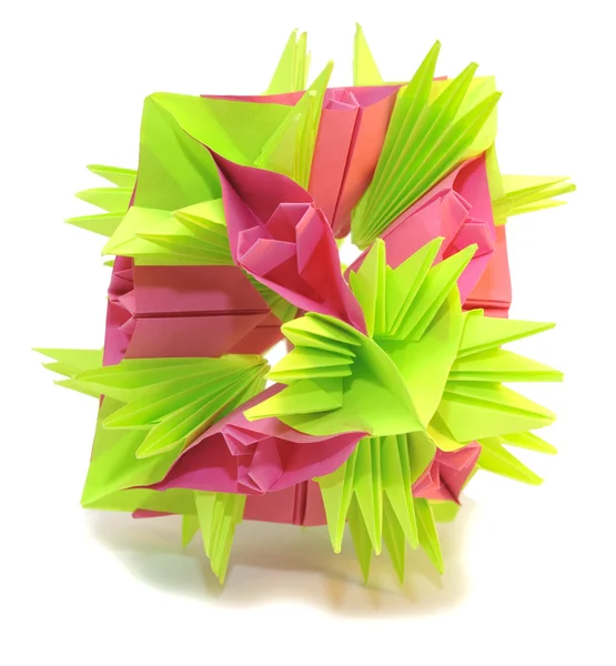 Origami "Rosas y espinas " —  Fotos de Stock