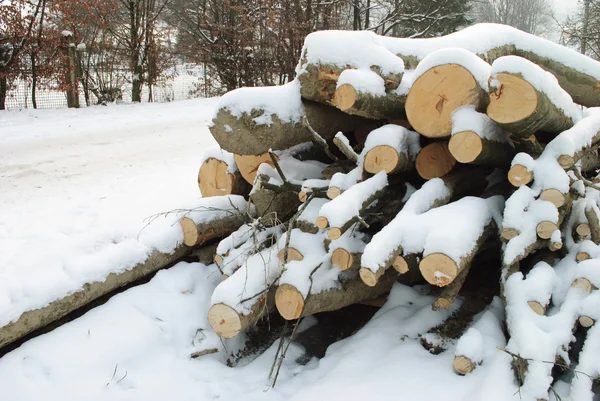 Wood under the snow — Stock Photo, Image