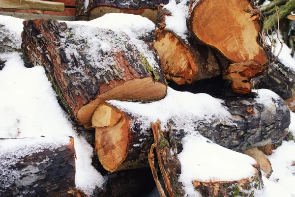 stock image Wood under the snow