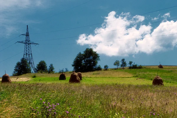 Kırsal manzara ve elektrikli izle — Stok fotoğraf