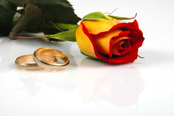 Rose and rings — Stock Photo, Image