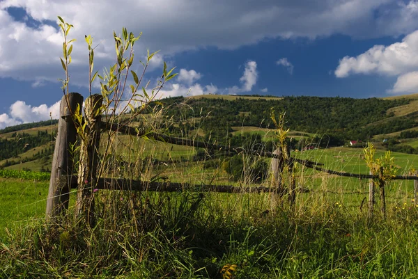 Сільський пейзаж з парканом — стокове фото