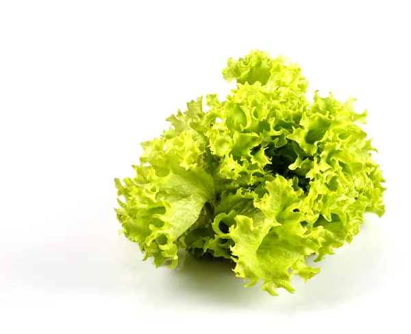Lettuce in kitchen — Stock Photo, Image
