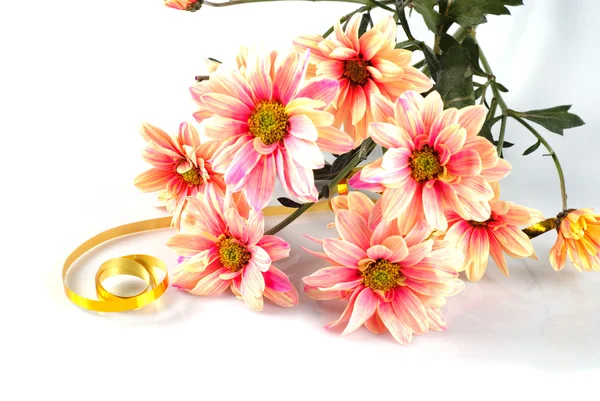 Pink daisy with gold ribbon — Stock Photo, Image