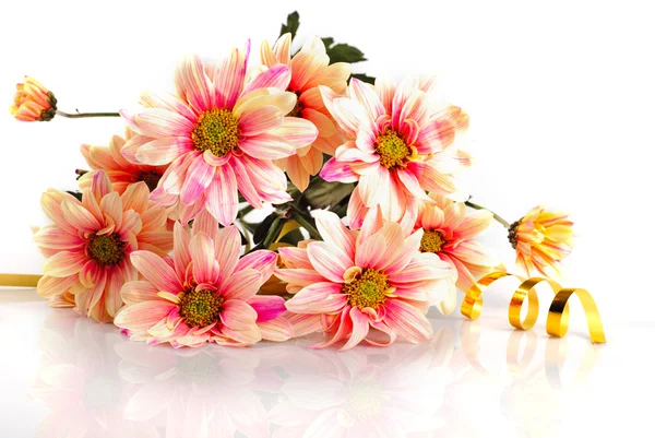 Rosa Gänseblümchen mit goldener Schleife — Stockfoto