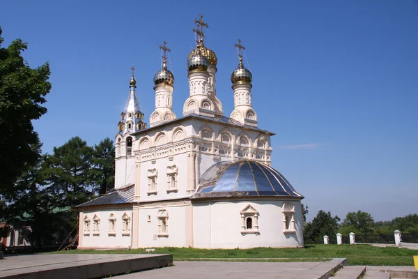 Церква і Кремля в місті ryazan - російський г — стокове фото