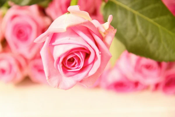 Rose luminose — Foto Stock