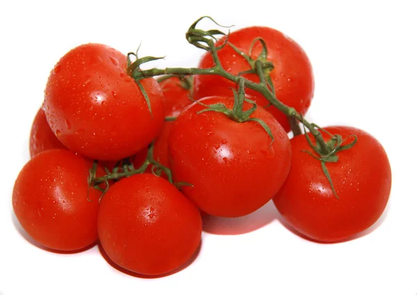 Bright tomato — Stock Photo, Image
