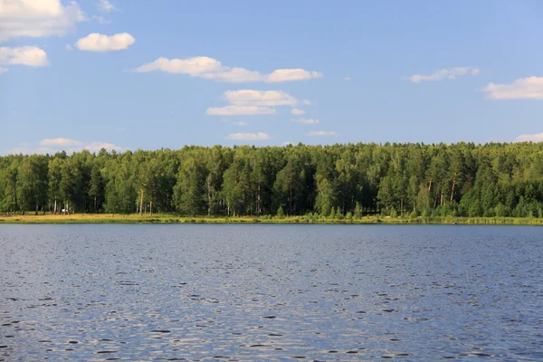 Izhbulat - lake near Forest — Stock Photo, Image