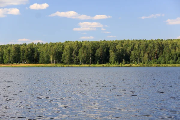 Izhbulat - lago perto de Floresta — Fotografia de Stock