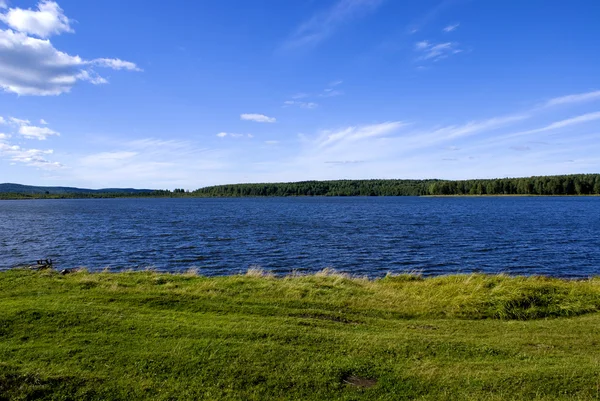 Jezero a Les — Stock fotografie