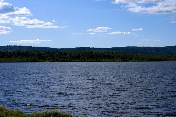 Lago y el Bosque — Foto de Stock