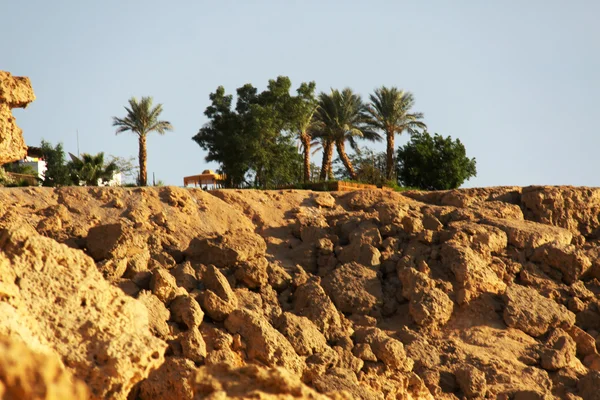 Гора Синай — стоковое фото