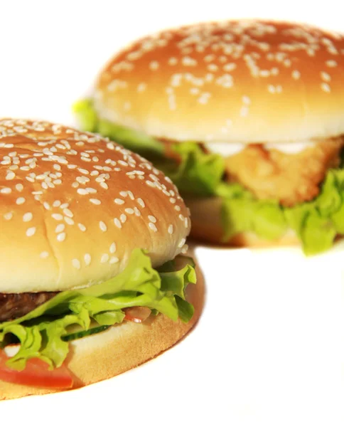 Gustoso hamburger isolato su dorso biancogr — Foto Stock
