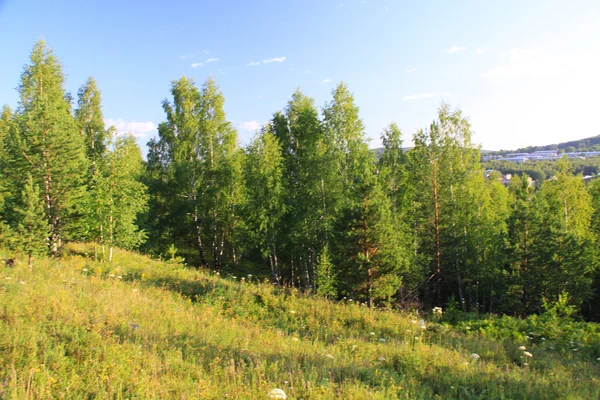 Landskap i höstens tid. Uralbergen — Stockfoto