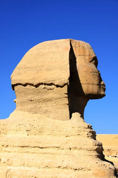 Gran escultura antigua de la esfinge egipcia y p — Foto de Stock