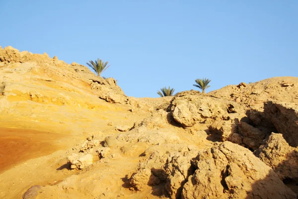 Heilige grond berg Sinaï — Stockfoto