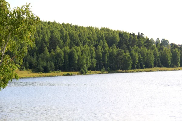 Izhbulat - lago cerca del bosque — Foto de Stock