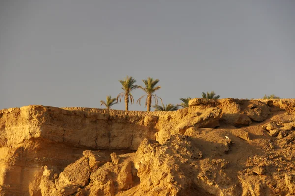 Heilige grond berg Sinaï — Stockfoto